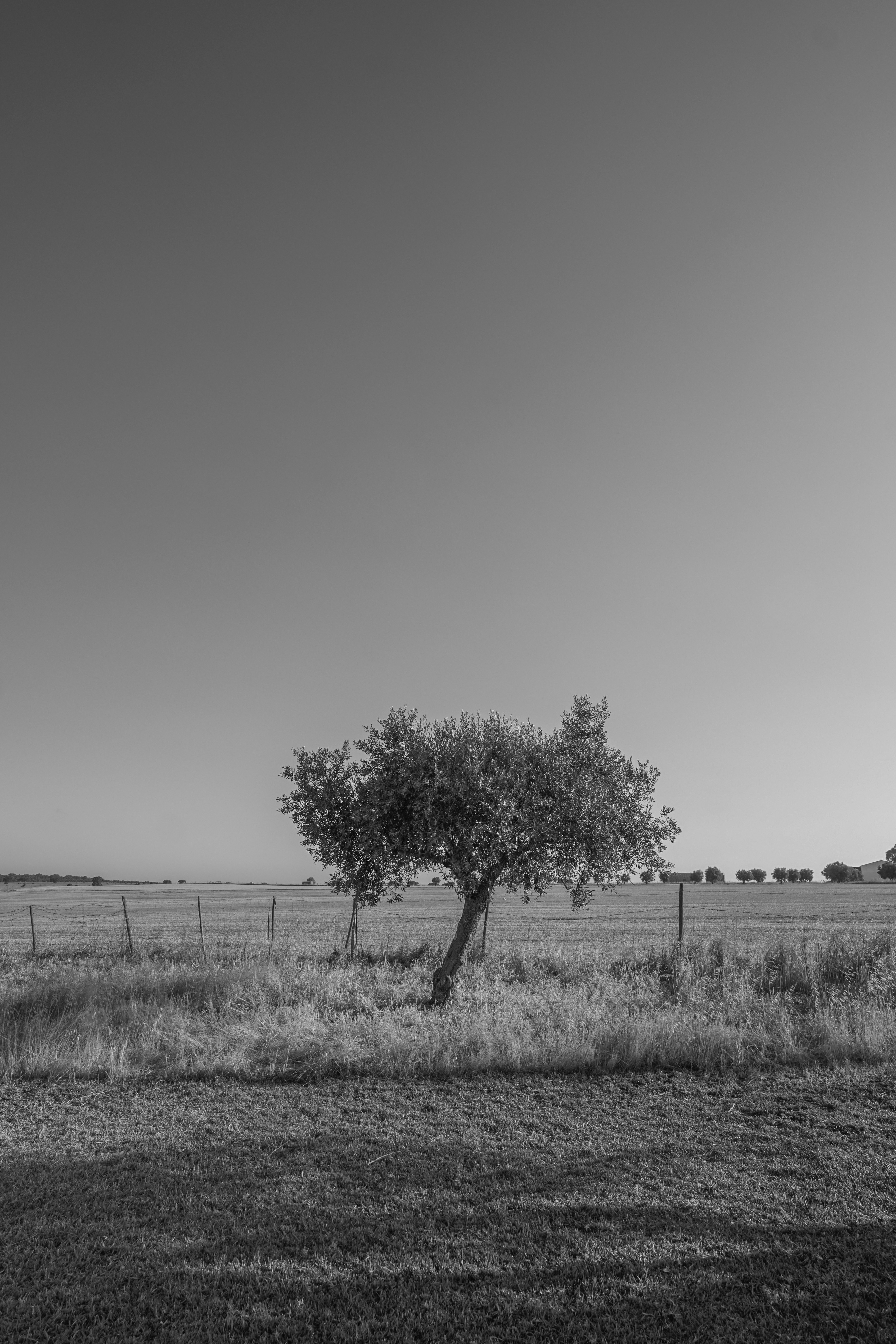 Photo by henri_van_vaerenbergh