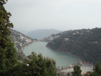 green trees and lake view in Nainital