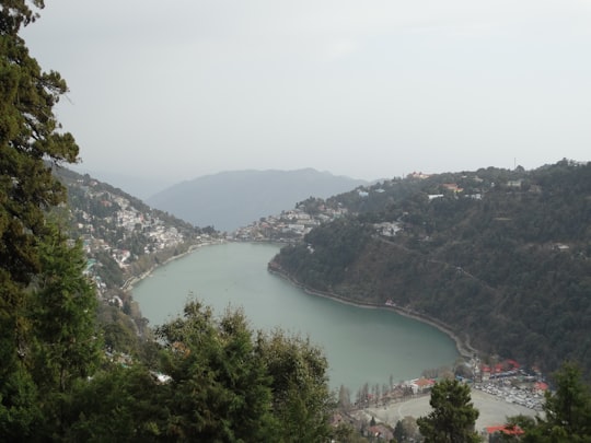 green trees on mountain near body of water during daytime in Nainital Lake India
