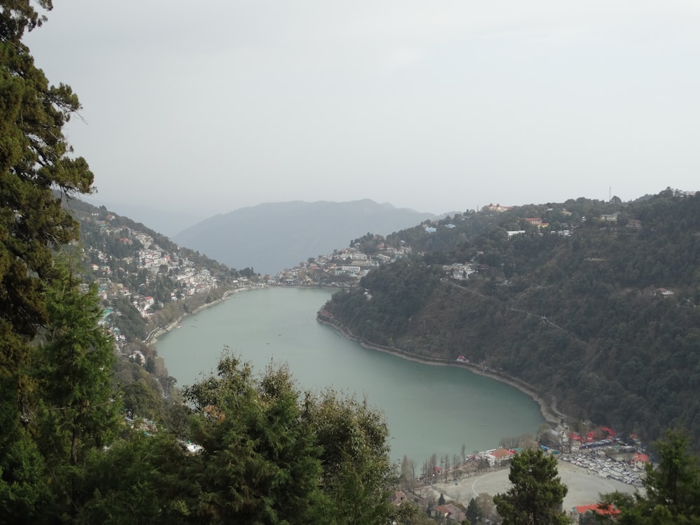 árboles verdes en la montaña cerca del cuerpo de agua durante el día