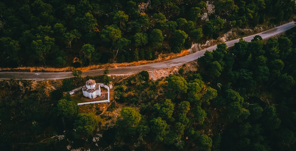 aerial view of green trees during daytime