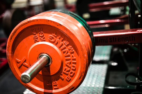 MaxGain Mass Builder