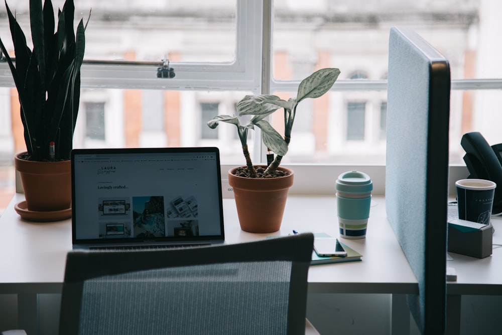 black laptop computer beside green potted plant