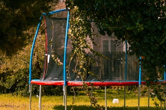 red and blue trampoline with net