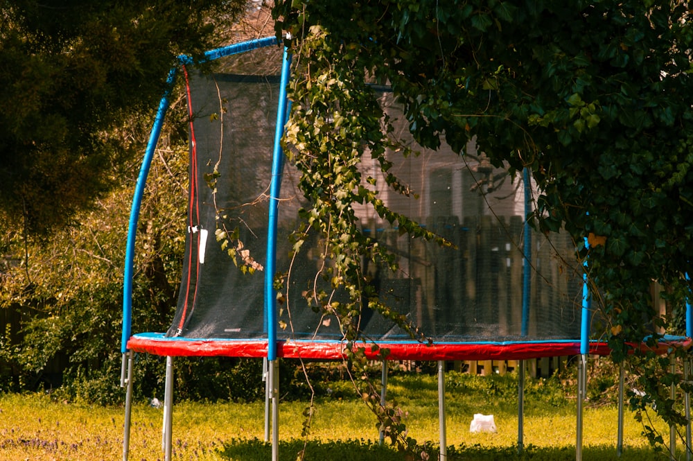 red and blue trampoline with net