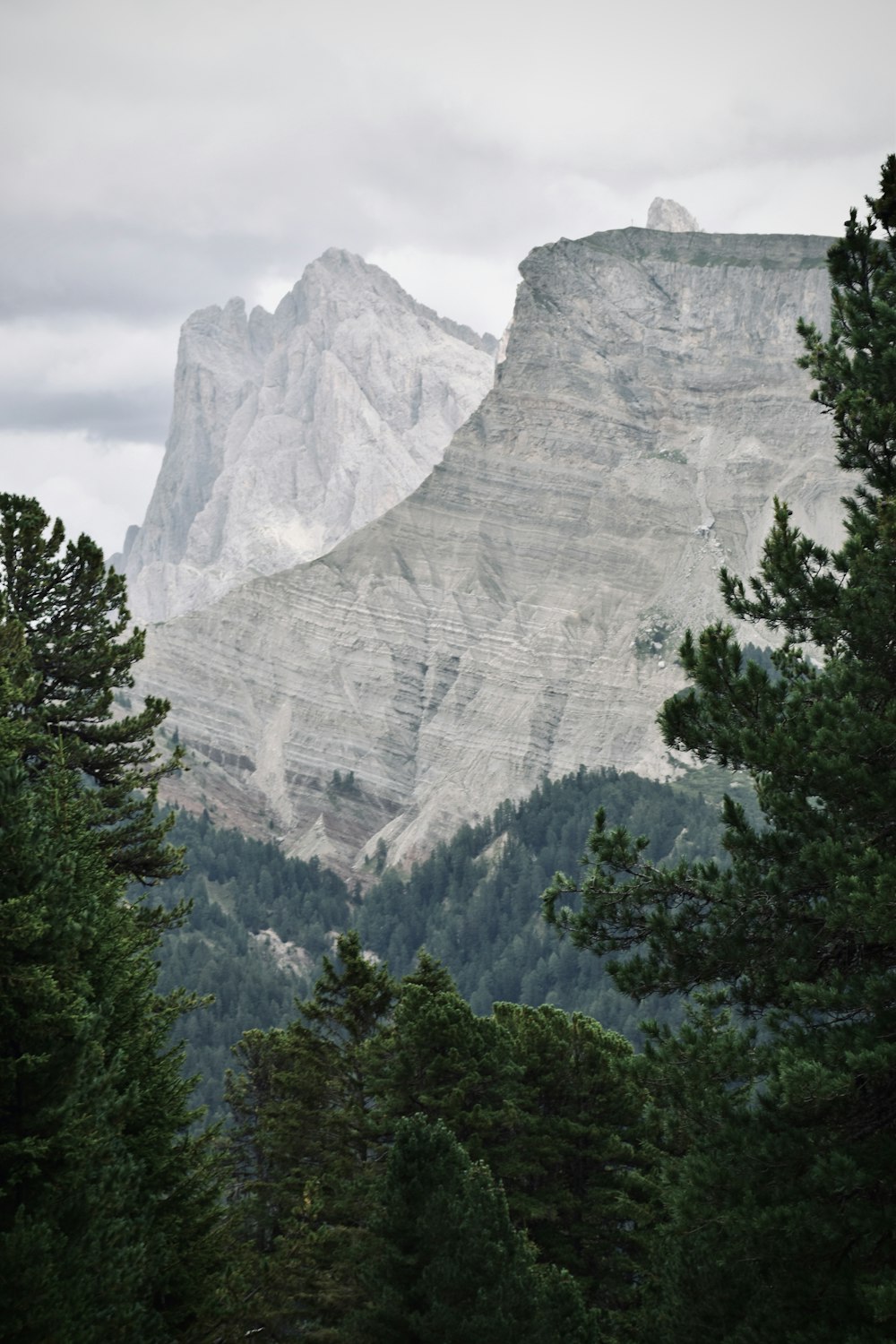 árboles verdes cerca de la montaña gris bajo nubes blancas durante el día