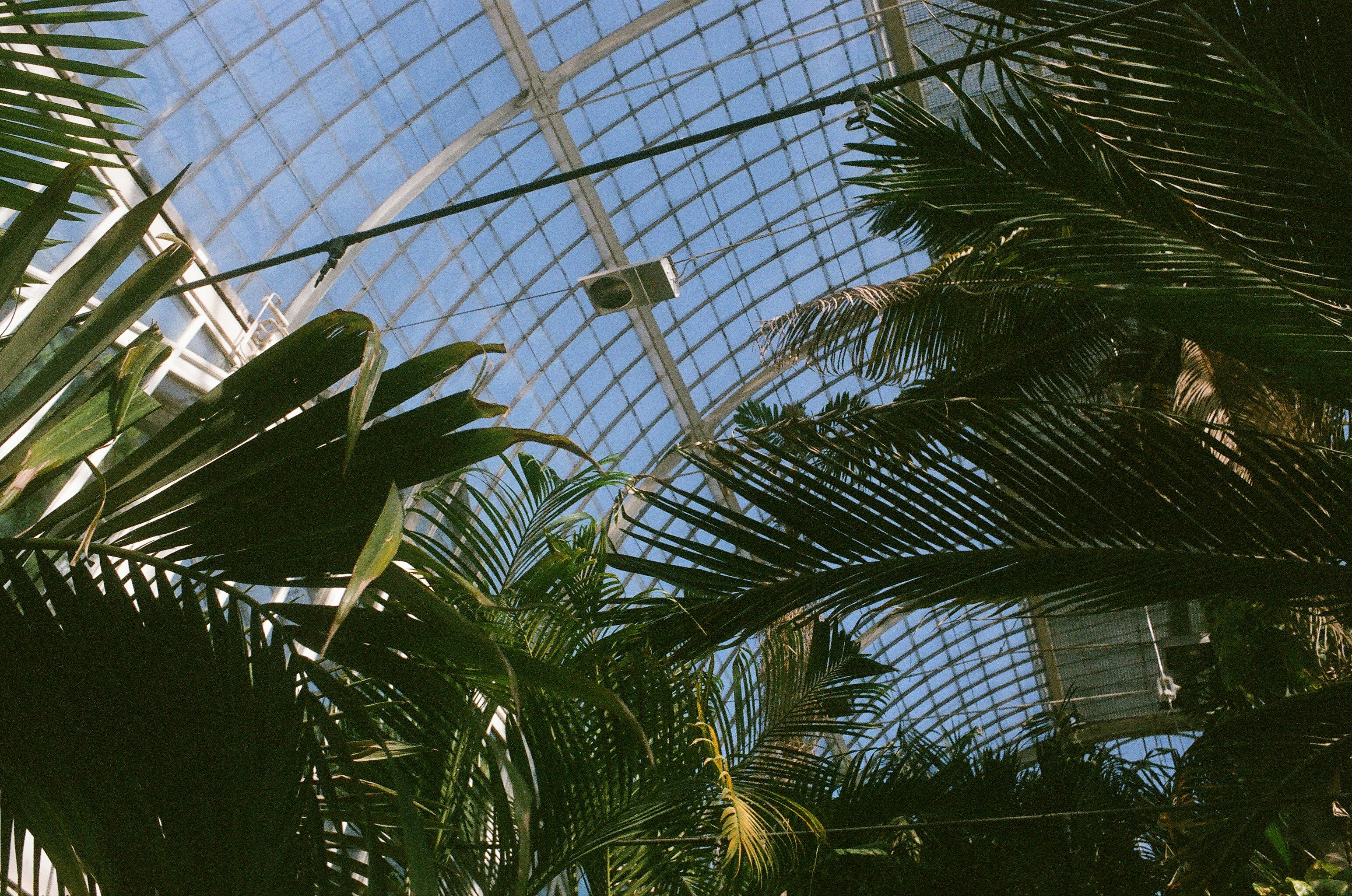 Photo by idreaminfilm