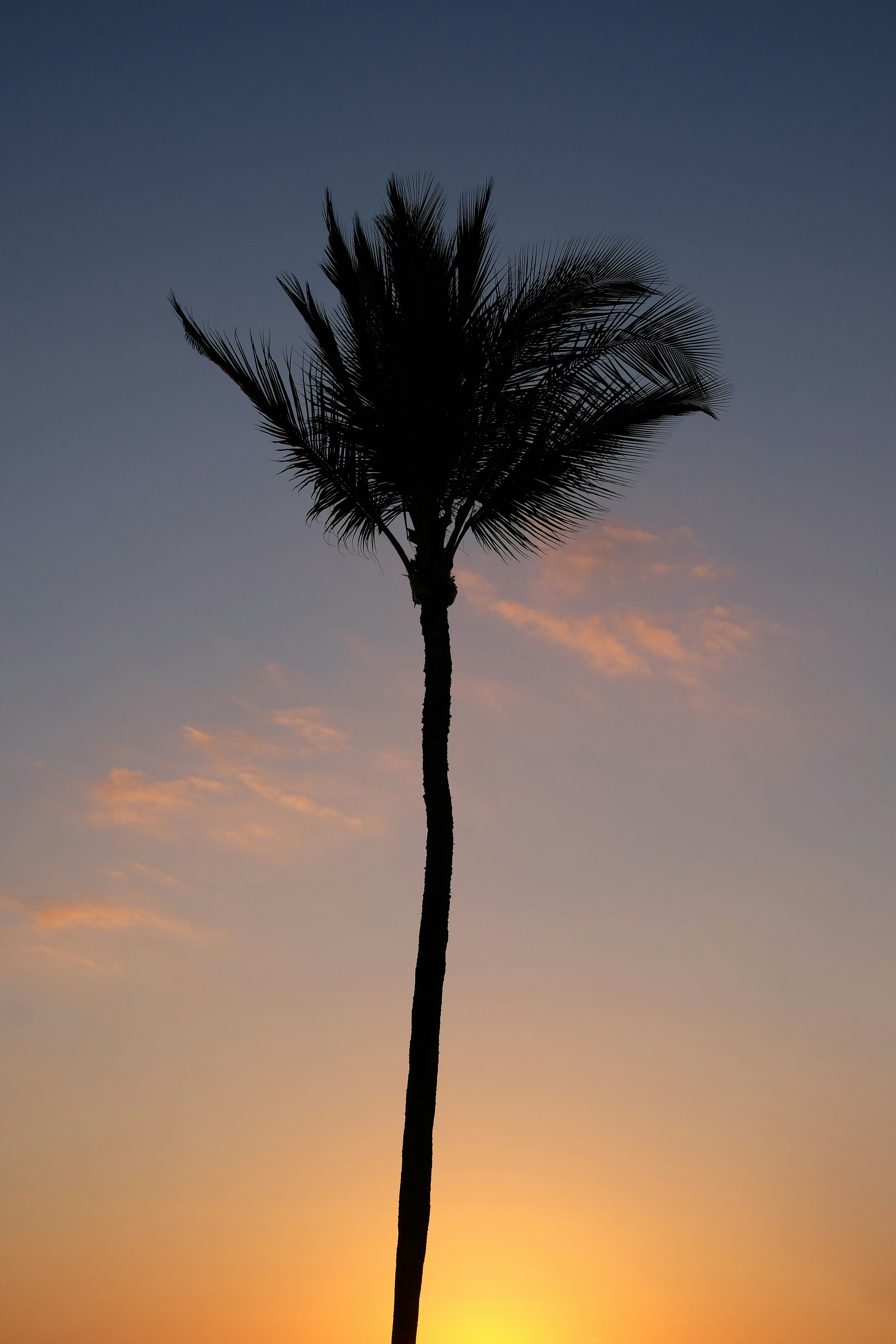 Photo by aussiep