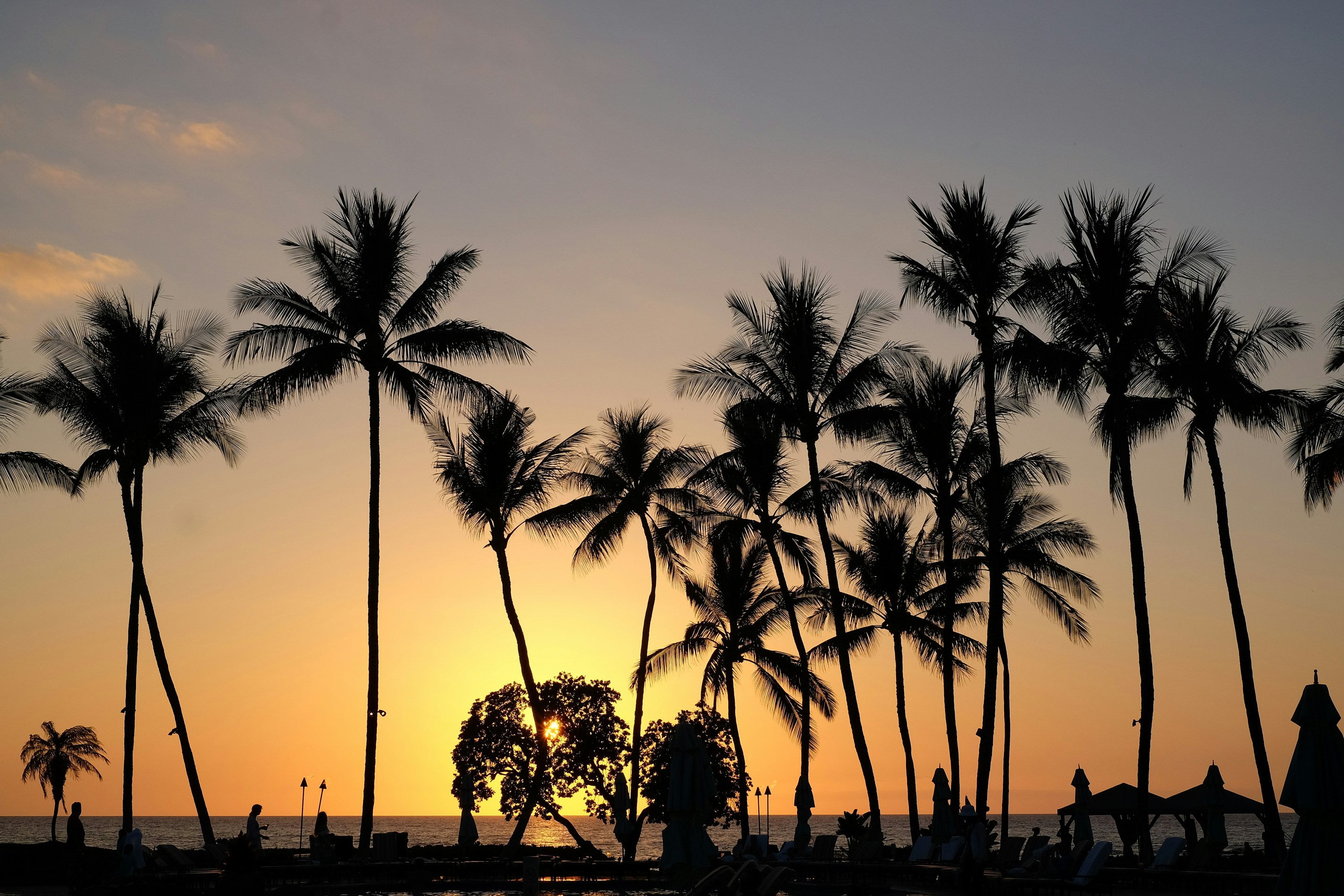people walking on sidewalk near palm trees during sunset, Resort at Sunset