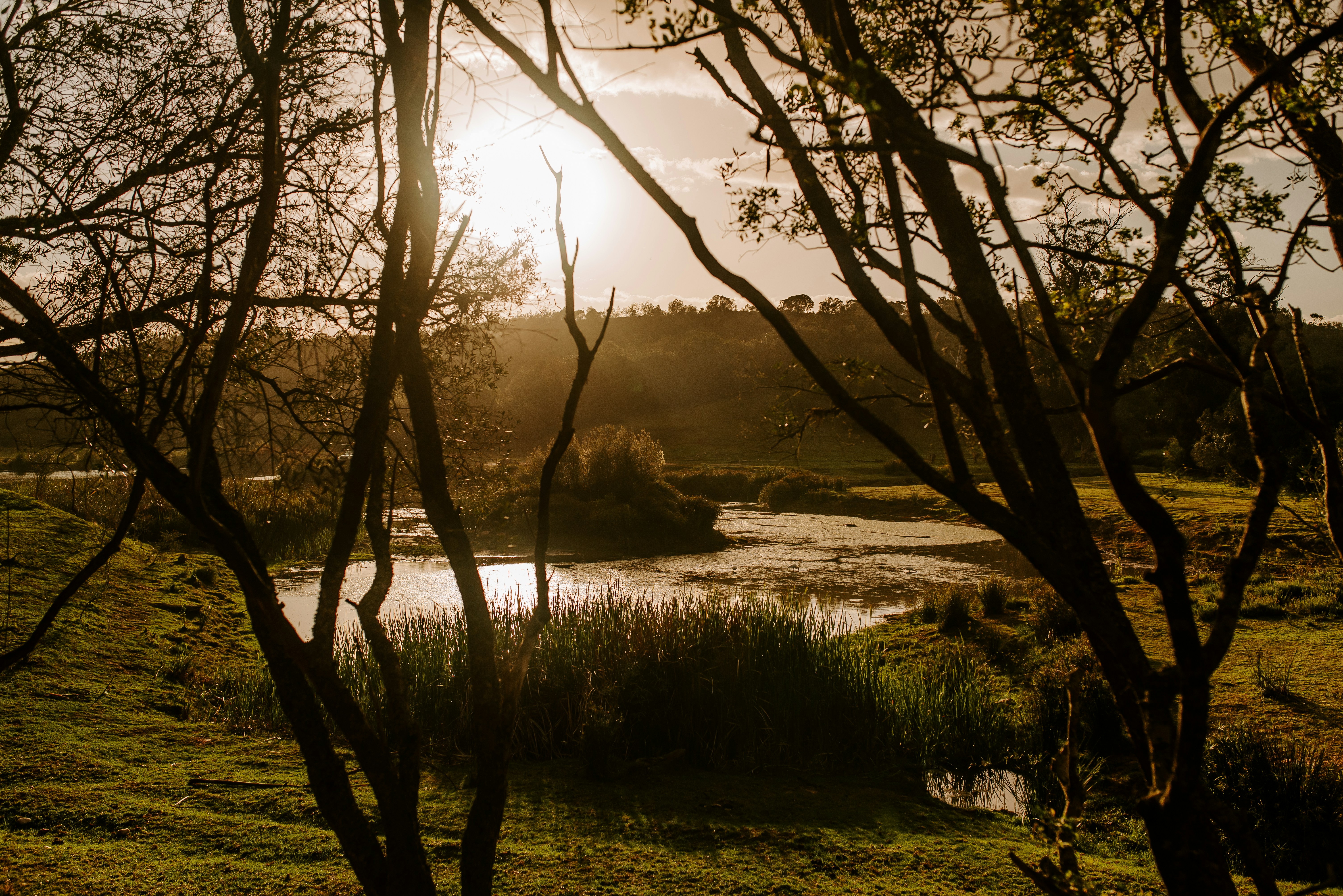 Photo by wade_lambert