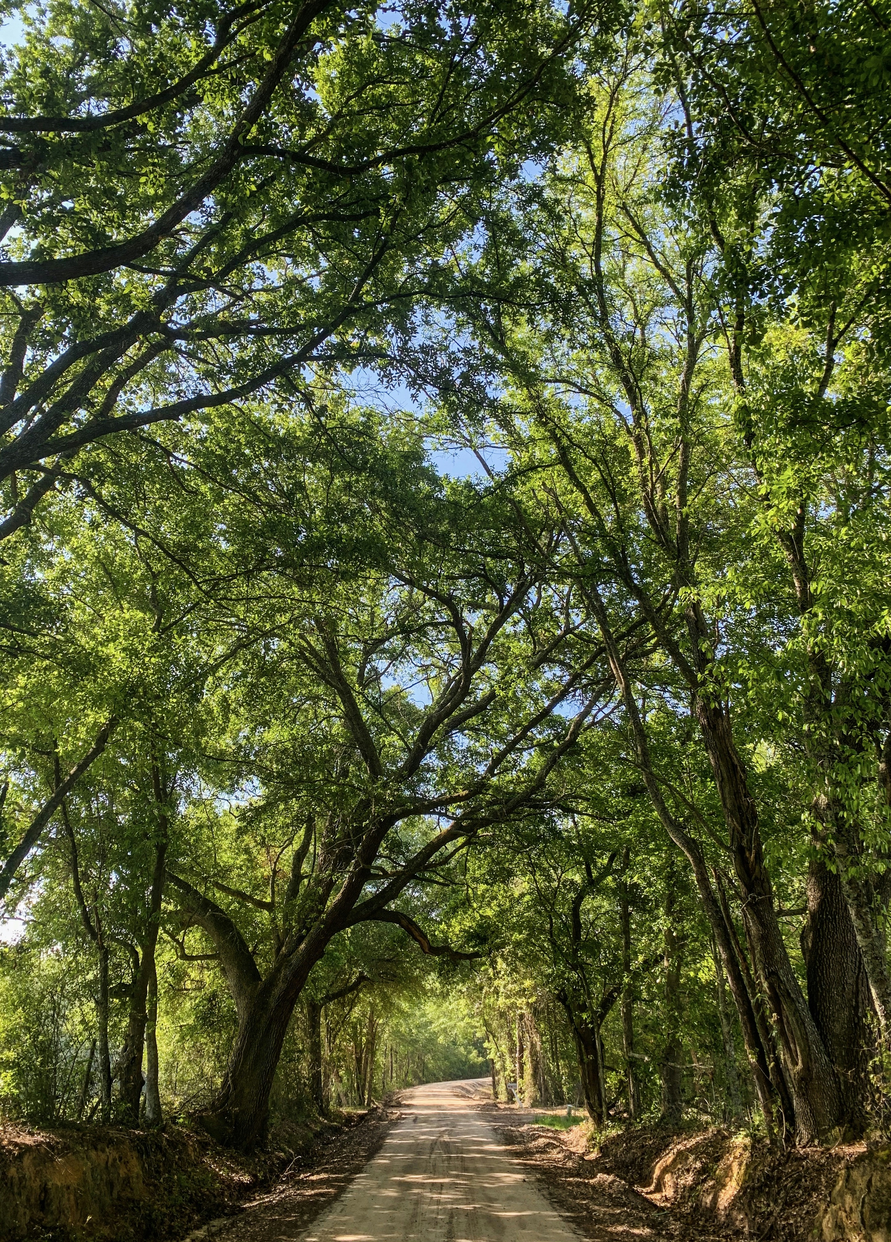 Photo by stormygayle