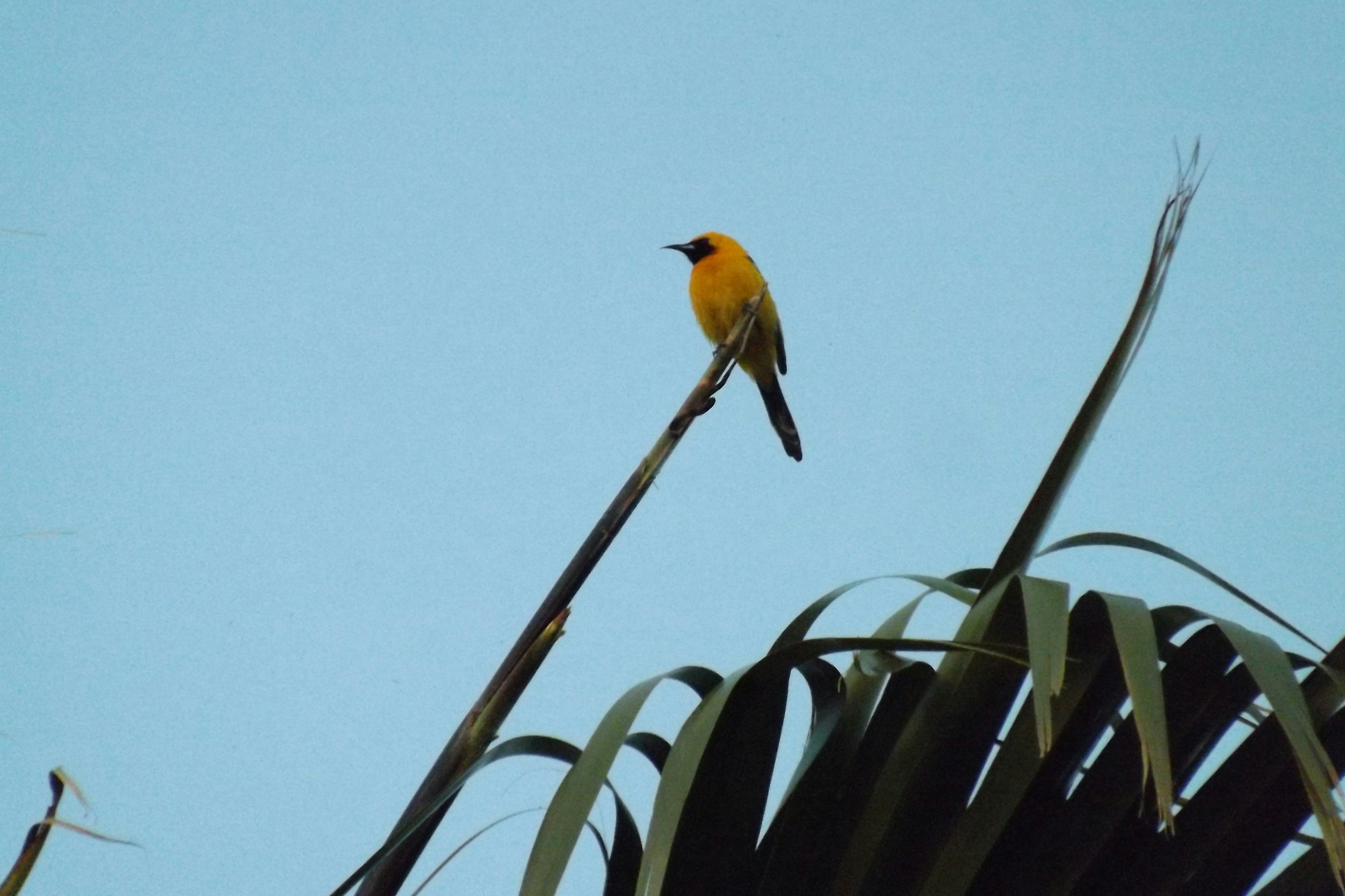 Photo by alexgzarate