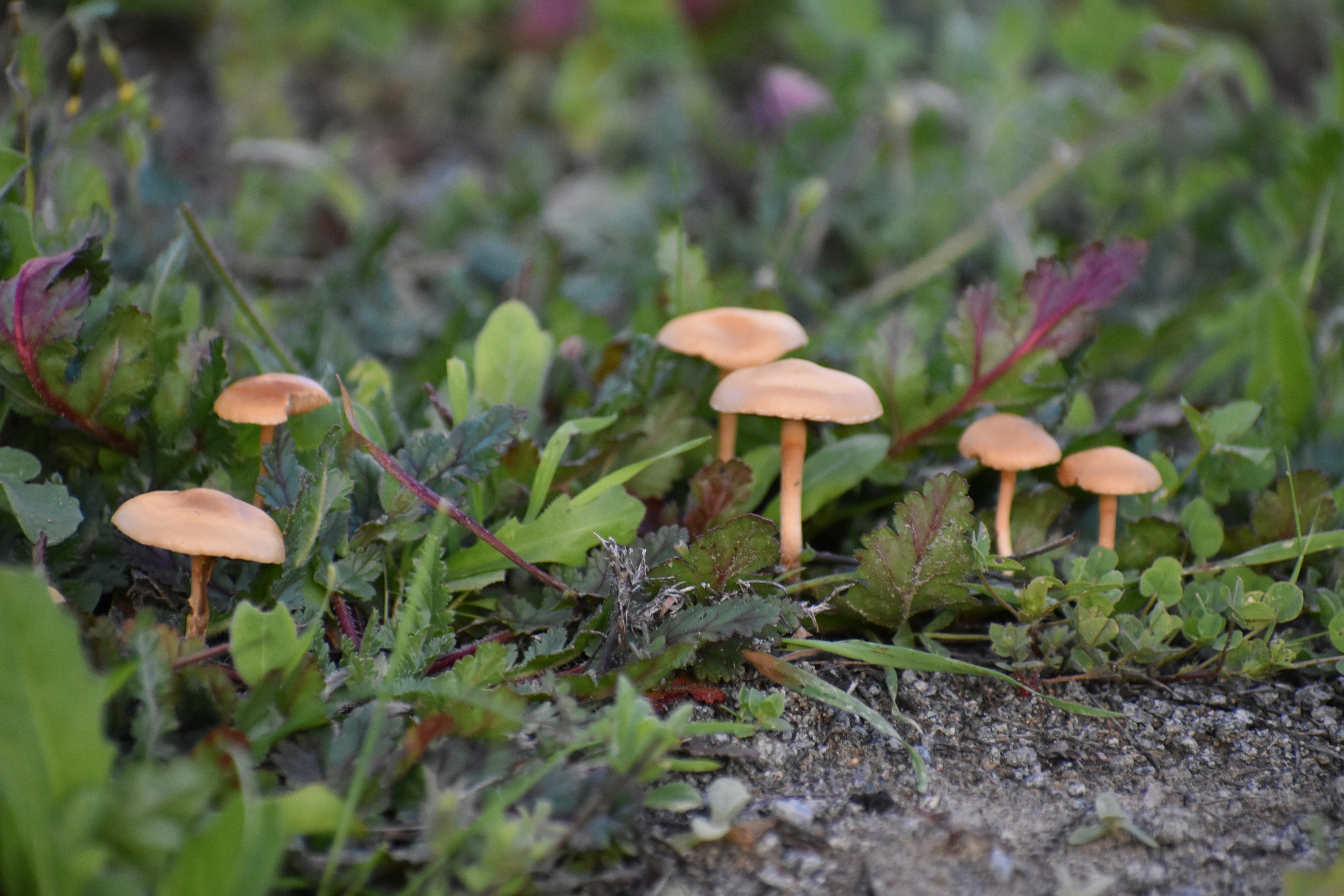 Photo by alexgzarate