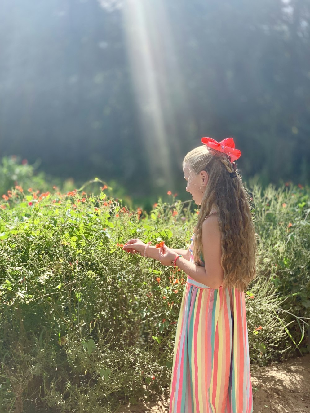 girl in pink and white striped dress standing on green grass field during daytime