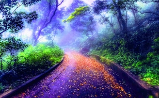A winding path through a misty forest symbolizing a journey into the psyche.