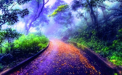 A winding path stretches through a lush, misty forest. The ground is scattered with yellow and orange leaves, while trees with dense green foliage arch overhead. A soft, purple-blue mist creates a dreamlike atmosphere, suggesting a serene and mystical setting.