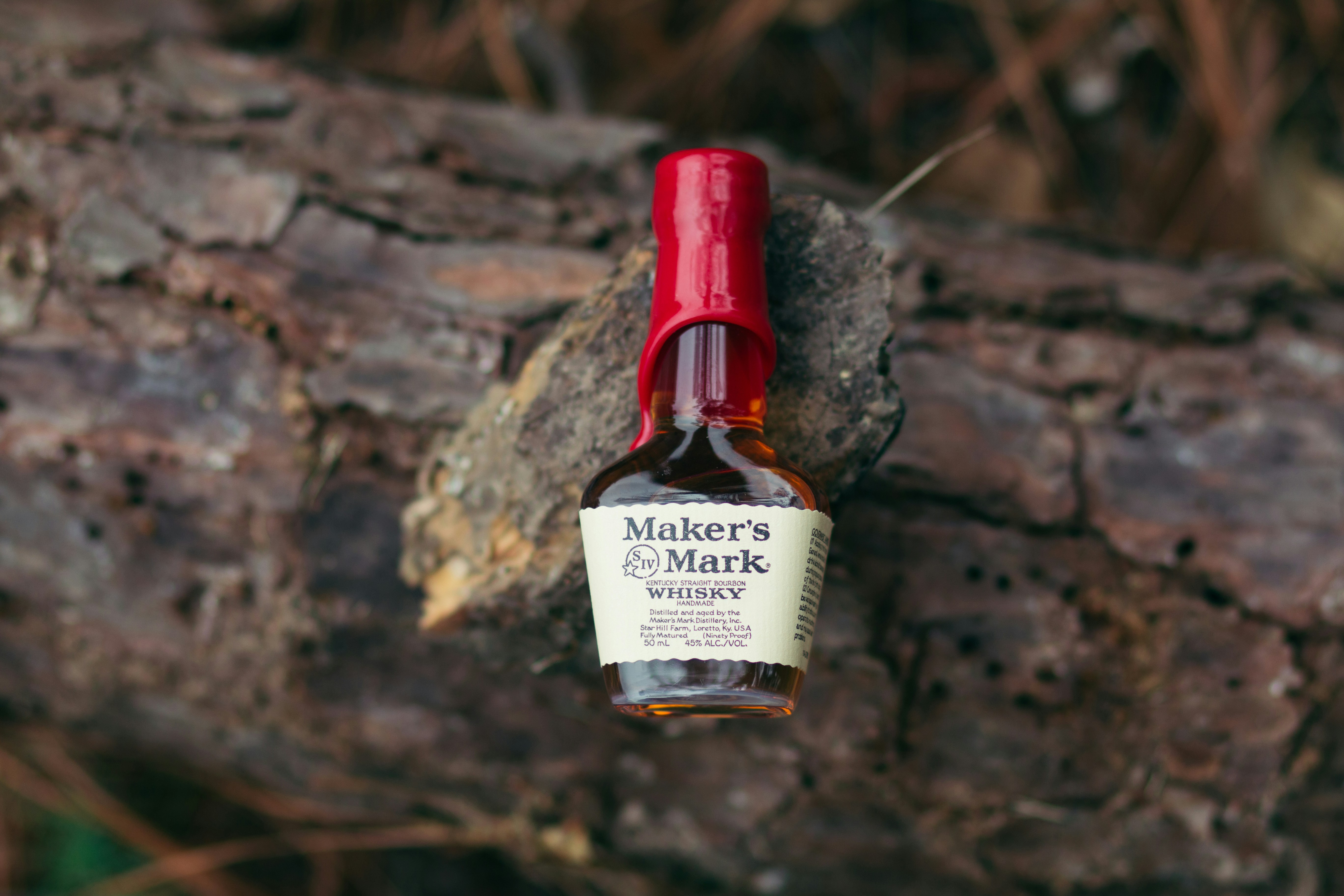 대구토킹바, 대구룸바, 대구바알바,