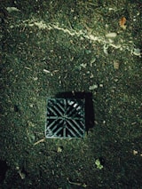 A square drainage grate embedded in soil is visible with a diagonal grid pattern on its surface. The ground is dark and muddy with scattered leaves and small plants around it. A thin, light-colored line crosses diagonally, possibly a small crack or root.