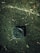 A square drainage grate embedded in soil is visible with a diagonal grid pattern on its surface. The ground is dark and muddy with scattered leaves and small plants around it. A thin, light-colored line crosses diagonally, possibly a small crack or root.