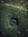 A square drainage grate embedded in soil is visible with a diagonal grid pattern on its surface. The ground is dark and muddy with scattered leaves and small plants around it. A thin, light-colored line crosses diagonally, possibly a small crack or root.