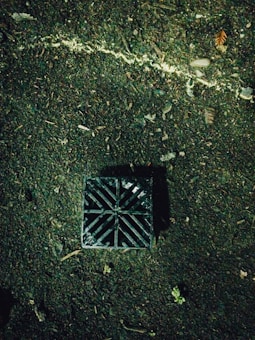 A square drainage grate embedded in soil is visible with a diagonal grid pattern on its surface. The ground is dark and muddy with scattered leaves and small plants around it. A thin, light-colored line crosses diagonally, possibly a small crack or root.