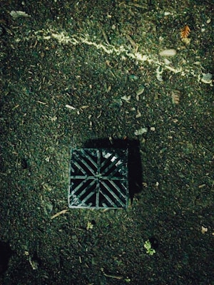 A square drainage grate embedded in soil is visible with a diagonal grid pattern on its surface. The ground is dark and muddy with scattered leaves and small plants around it. A thin, light-colored line crosses diagonally, possibly a small crack or root.