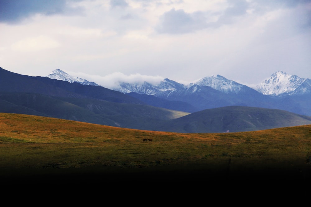 green grass field near snow covered mountain during daytime