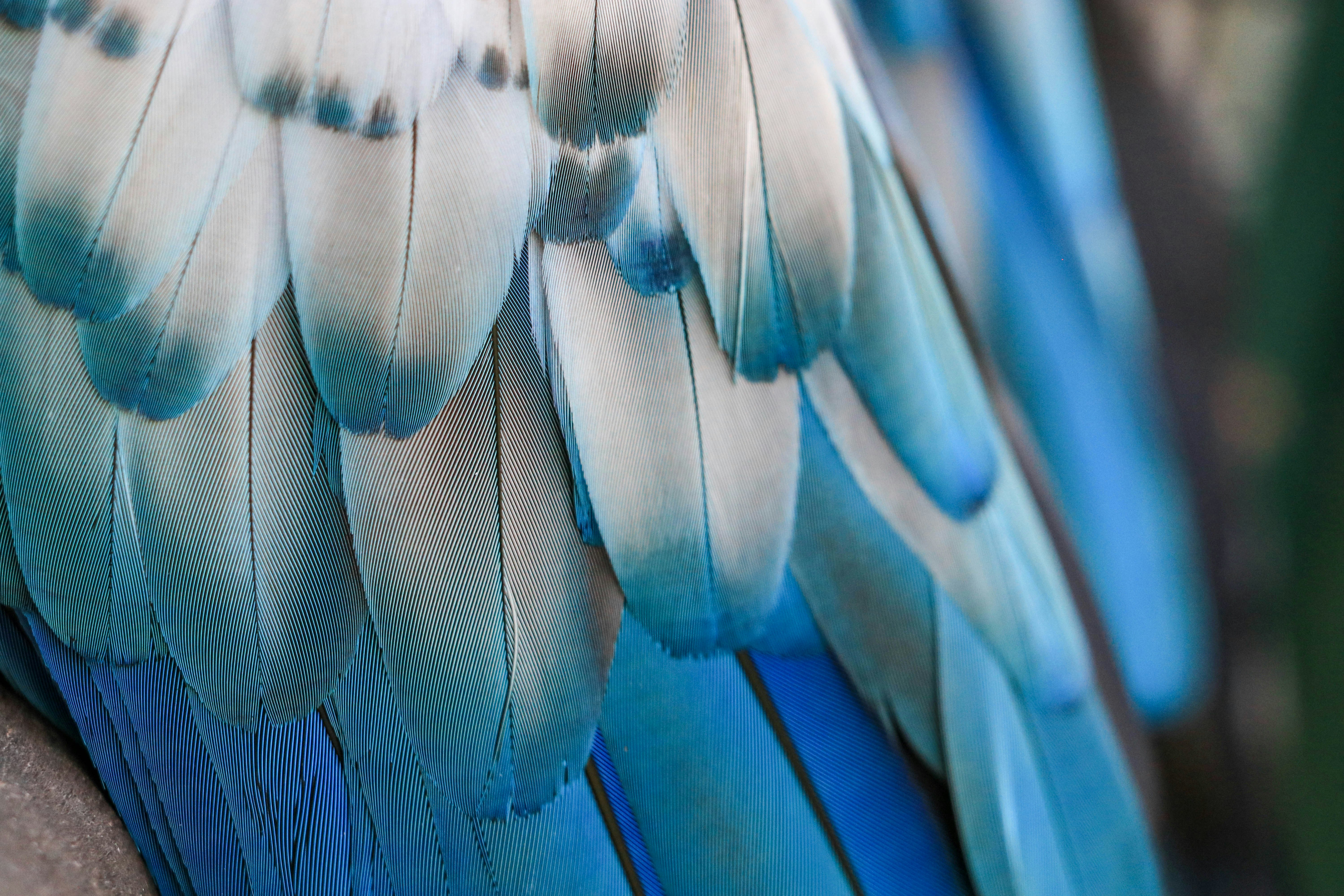 Photo by sonianadales