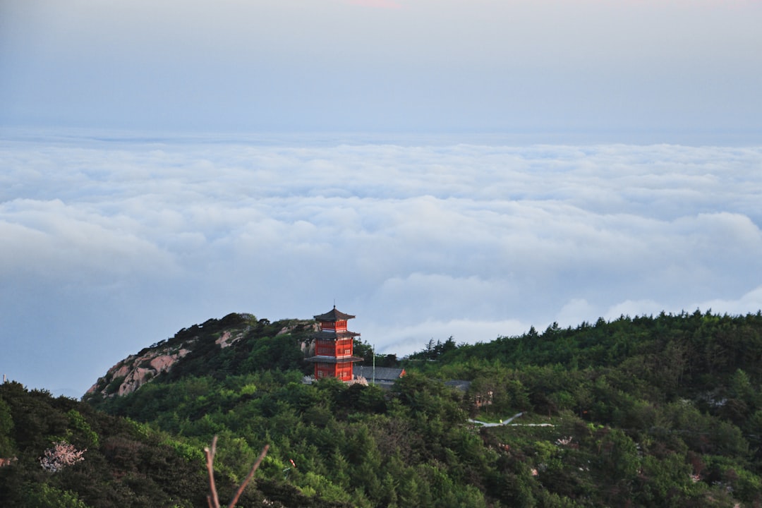 地基主忌諱多籽水果？小番茄可以拜嗎？