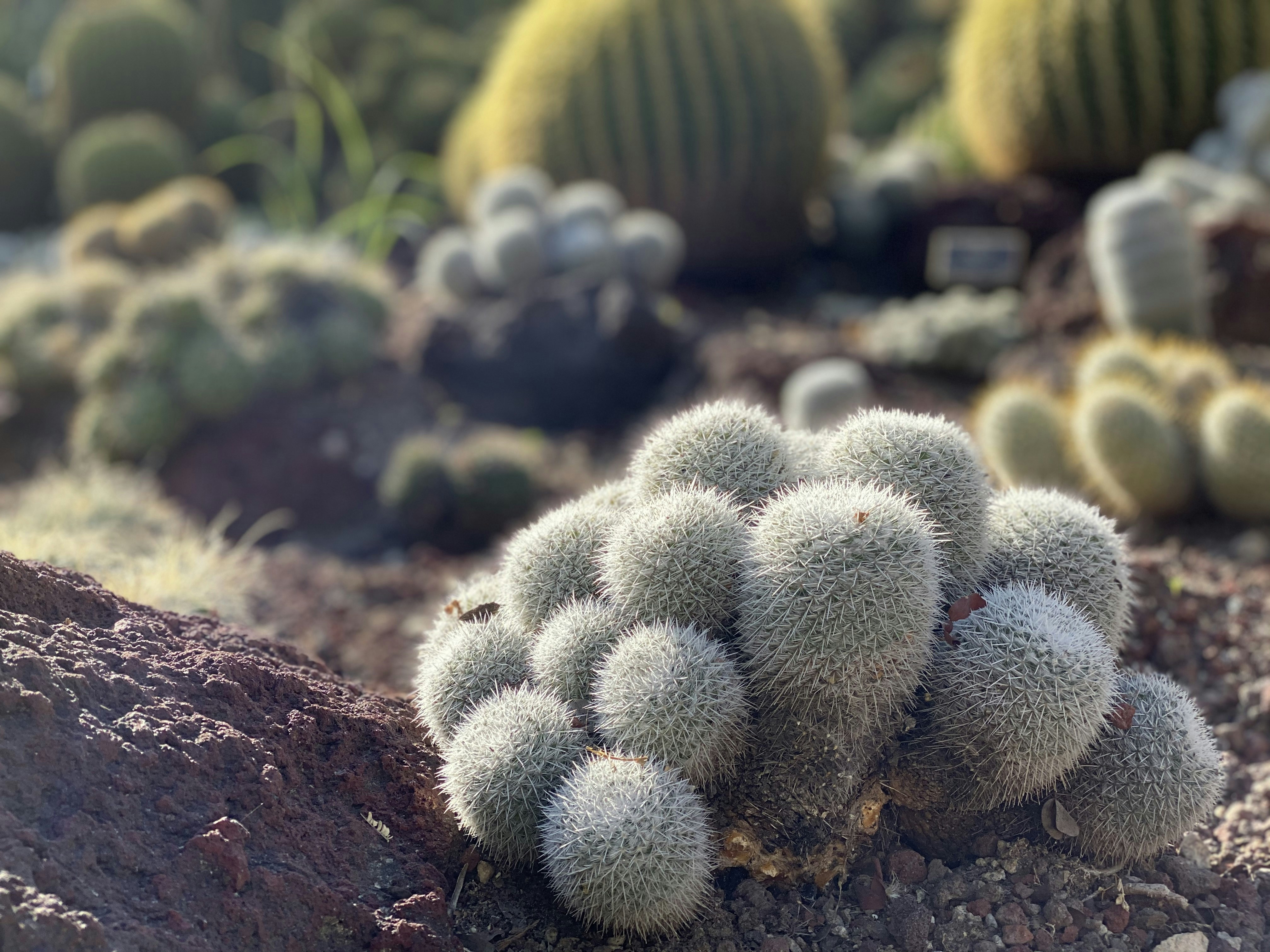 Photo by yingyinglin