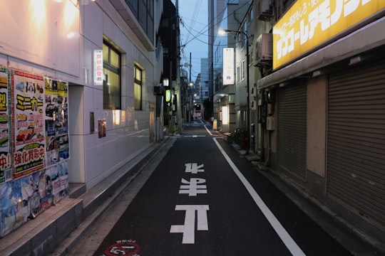 black and white pedestrian lane in Akihabara Japan