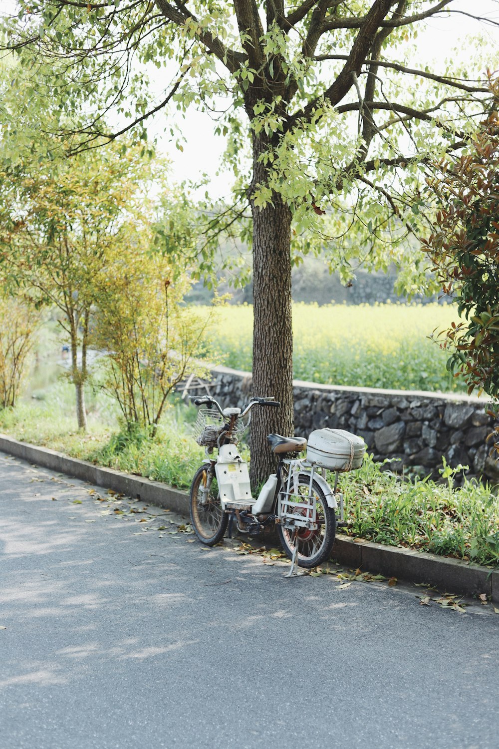 black and white motorcycle parked beside green trees during daytime