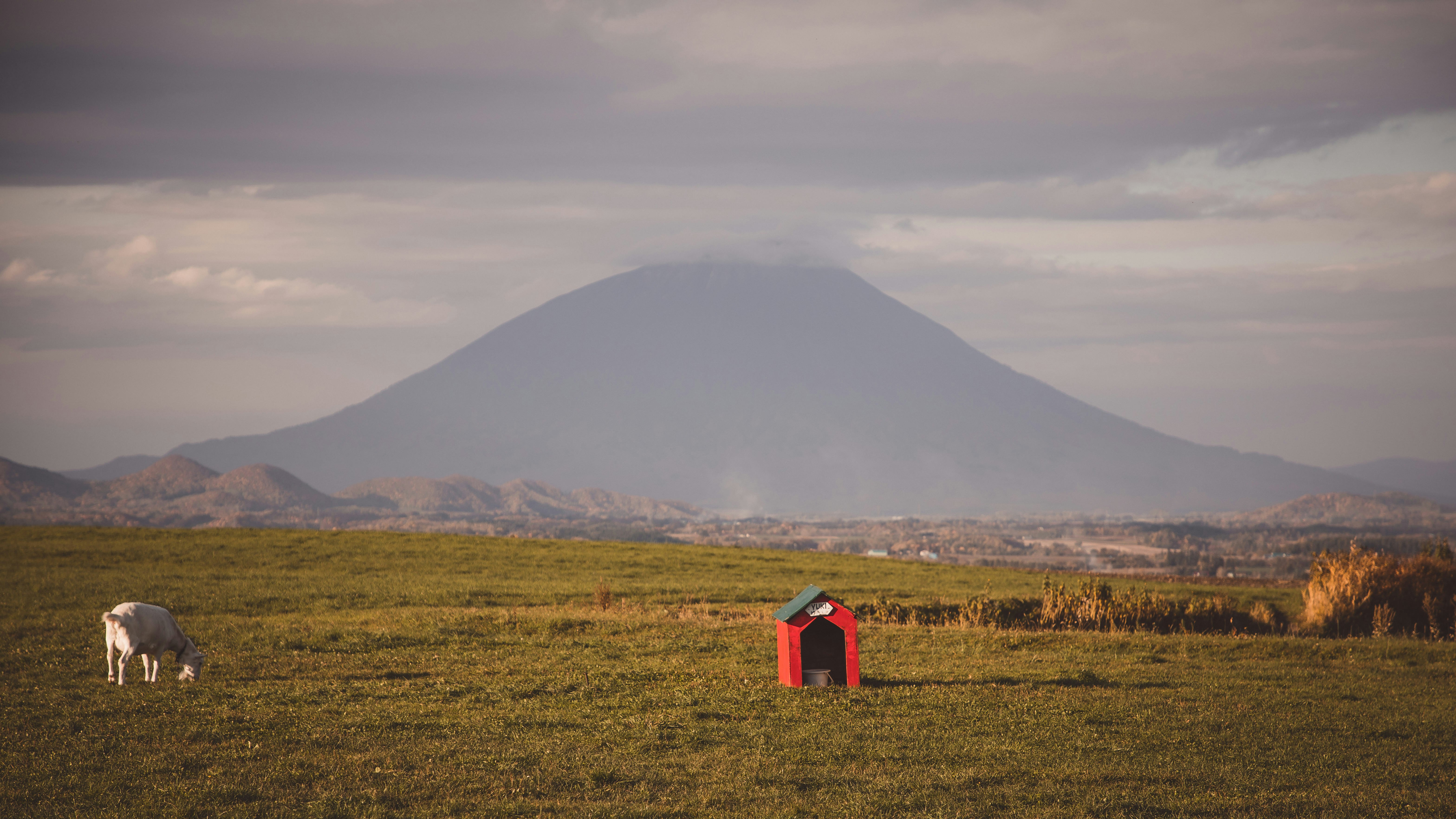 blue and red house on green grass field near mountain under white clouds during daytime