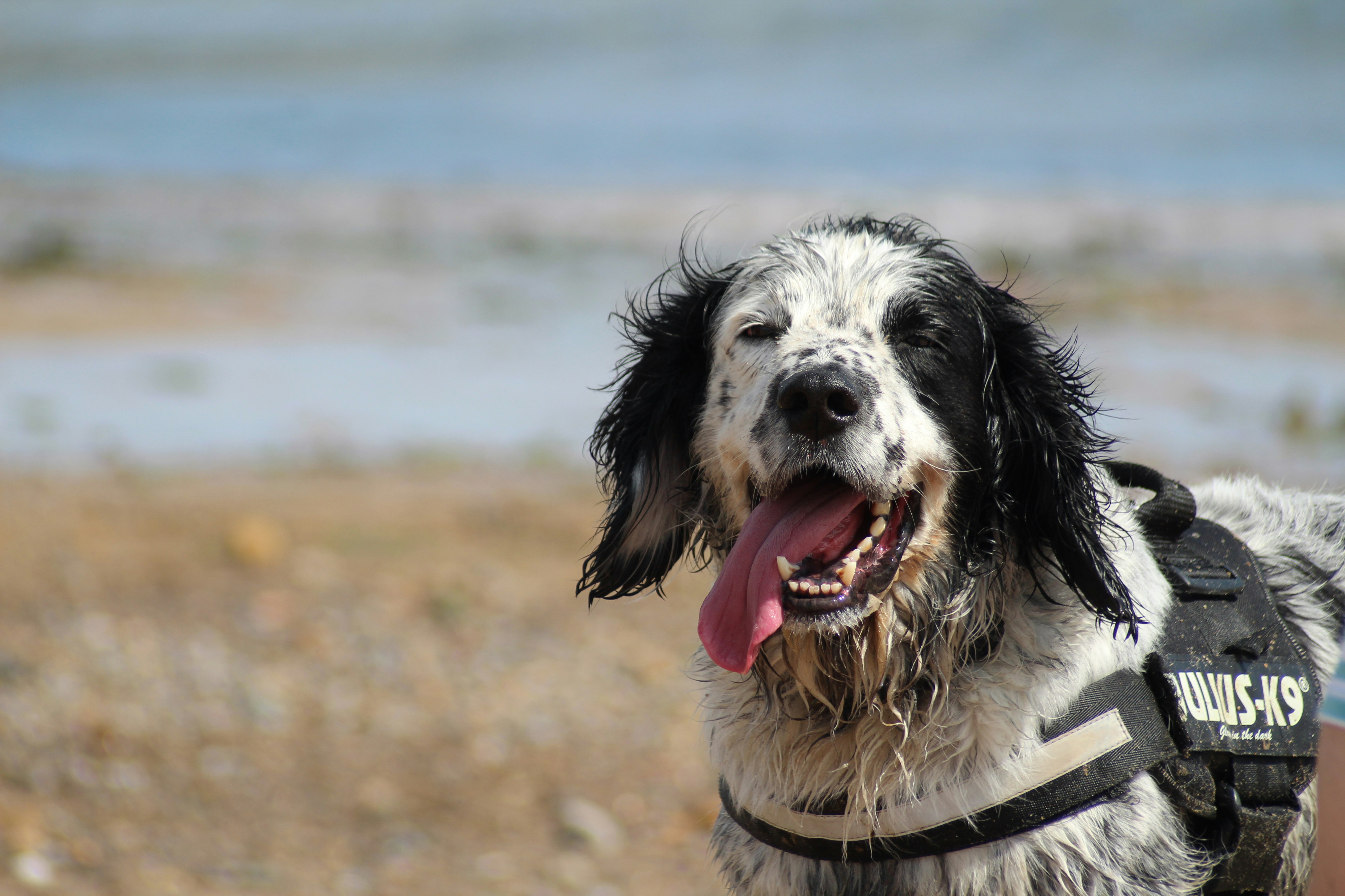 Photo by bxthparker18