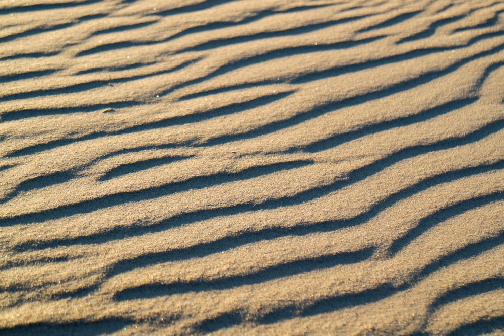 brown sand with shadow of person