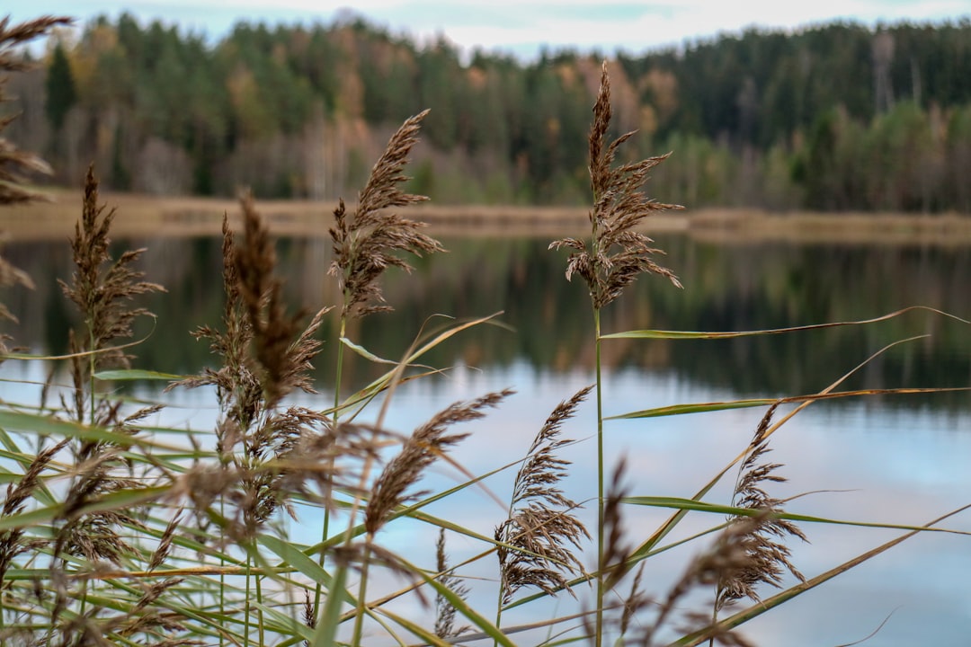 The Hidden Gems of Estonia 7