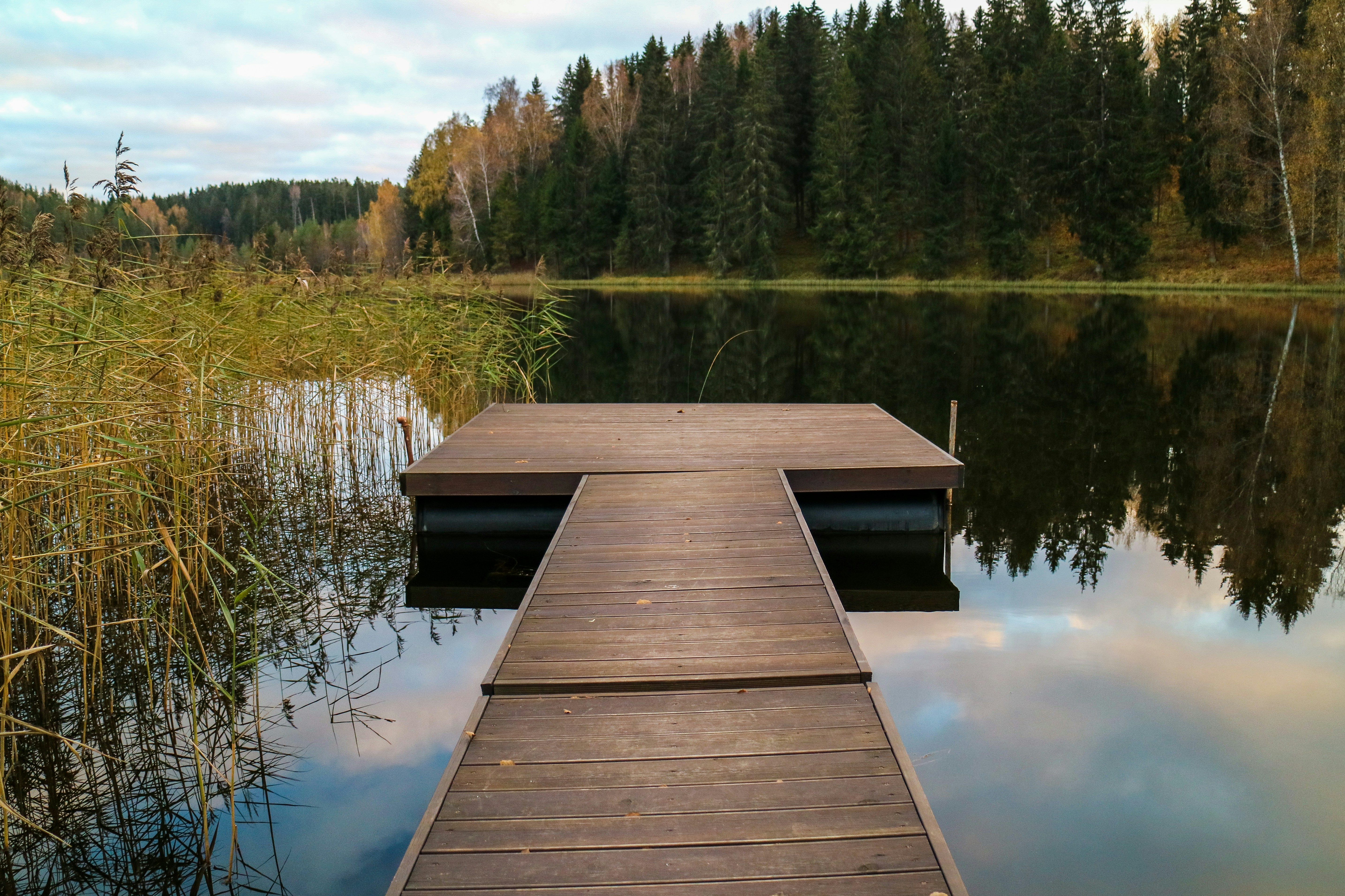 brown wooden dock on lake during daytime