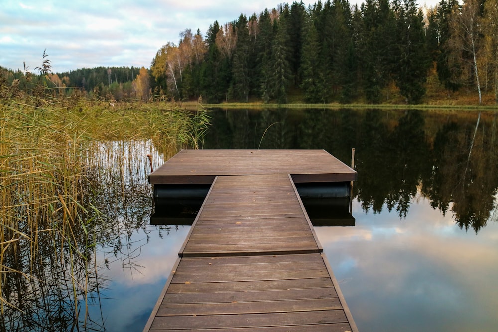 brown wooden dock on lake during daytime