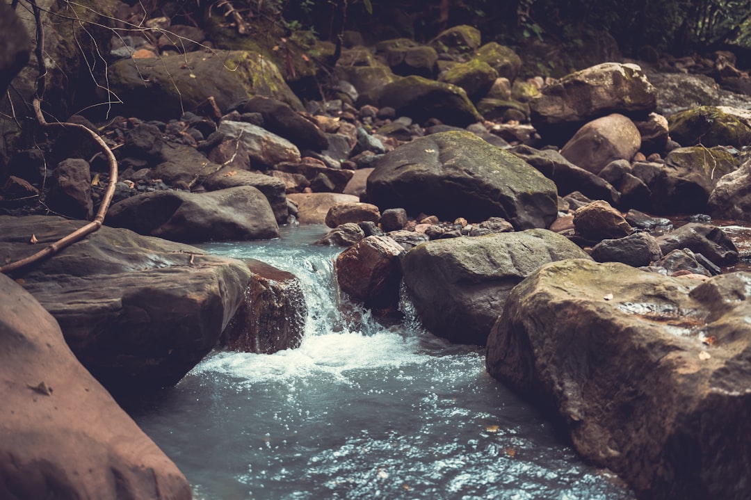 brown rocks on river during daytime