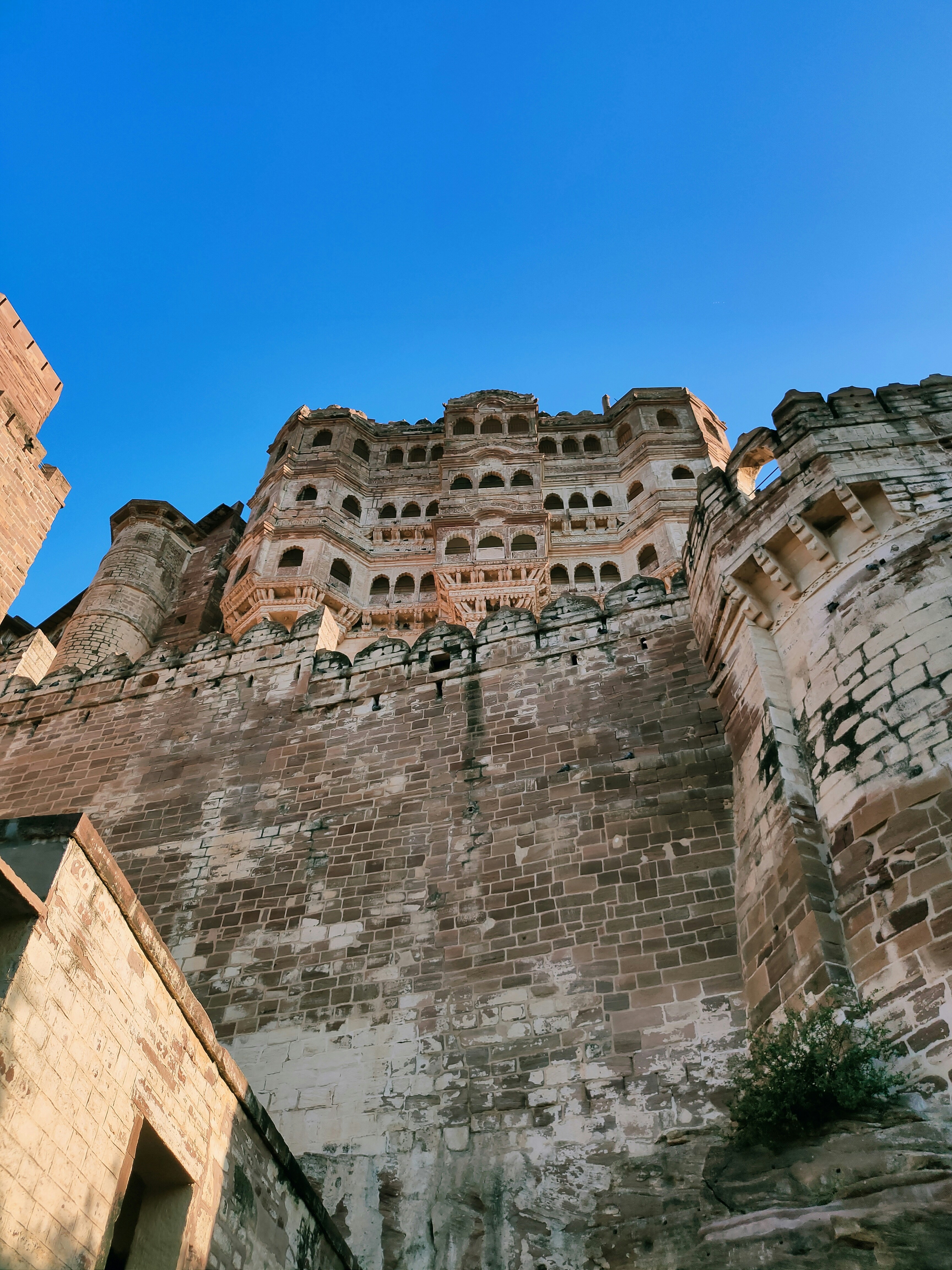 Photo by rathore_bhawani