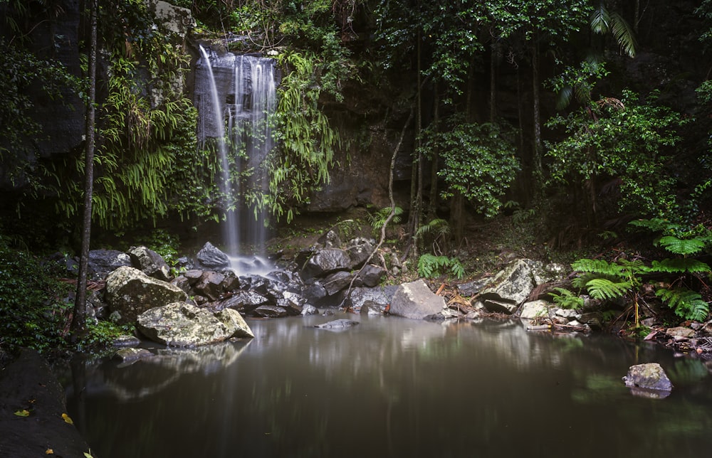 water falls in the forest