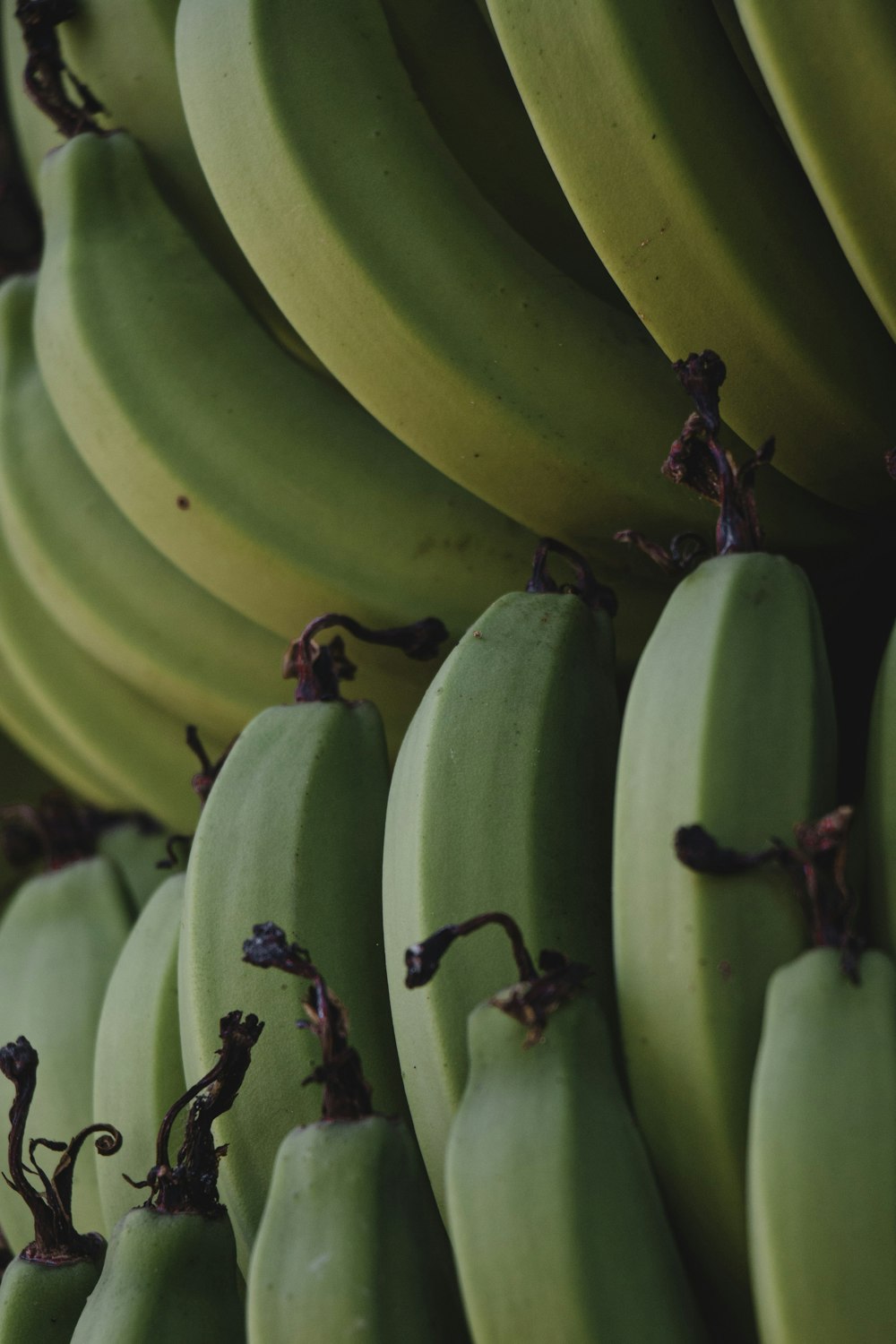 green banana fruit on table