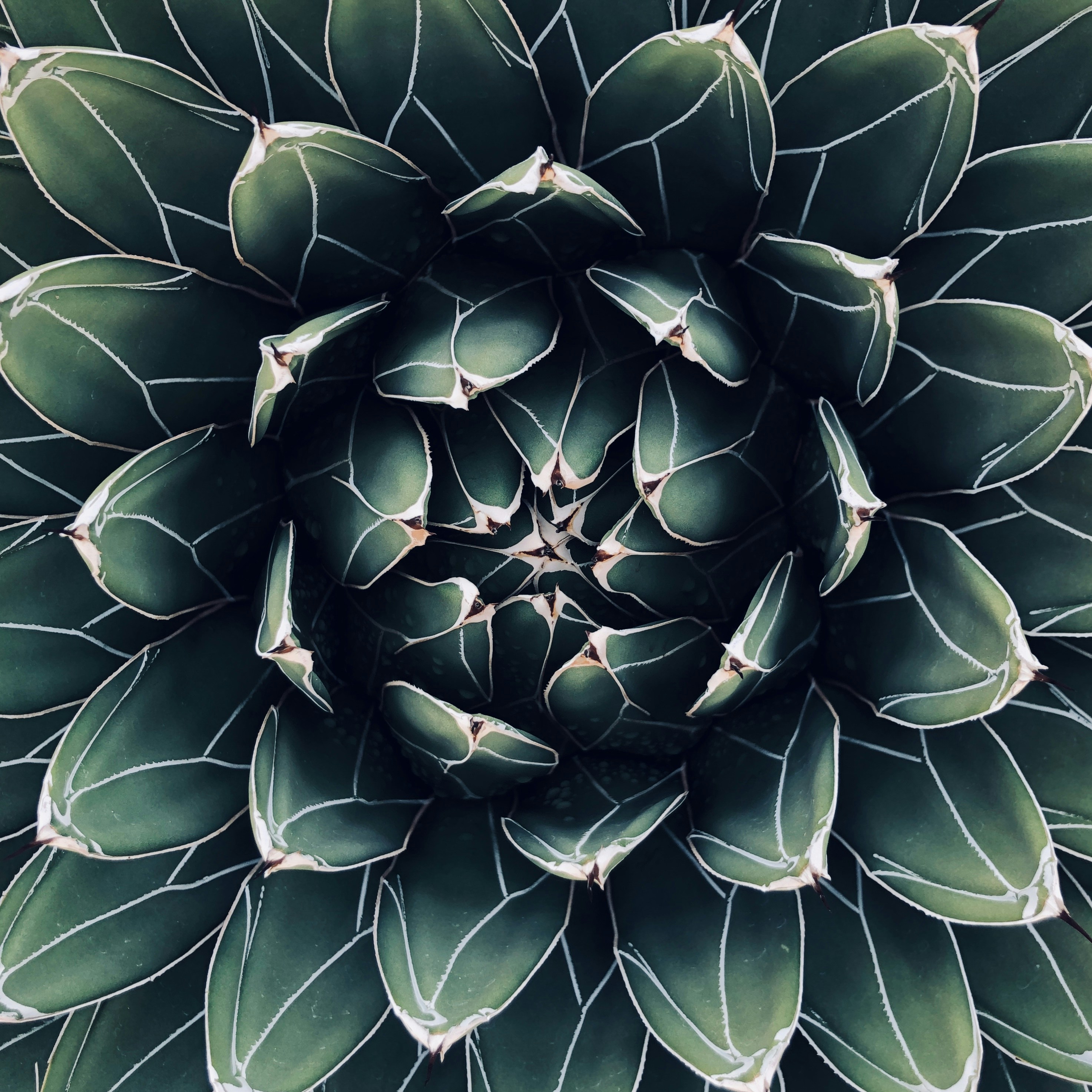 Photo by hrrynyrpttr