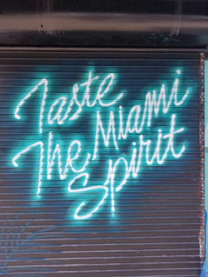 neon graffiti on garage door that says taste the Miami sprit