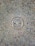 A metal survey marker is embedded in a textured concrete surface. The marker features a star in the center and has the words 'City of Austin Survey Marker' engraved on it. The concrete is speckled with various shades of gray, brown, and orange.