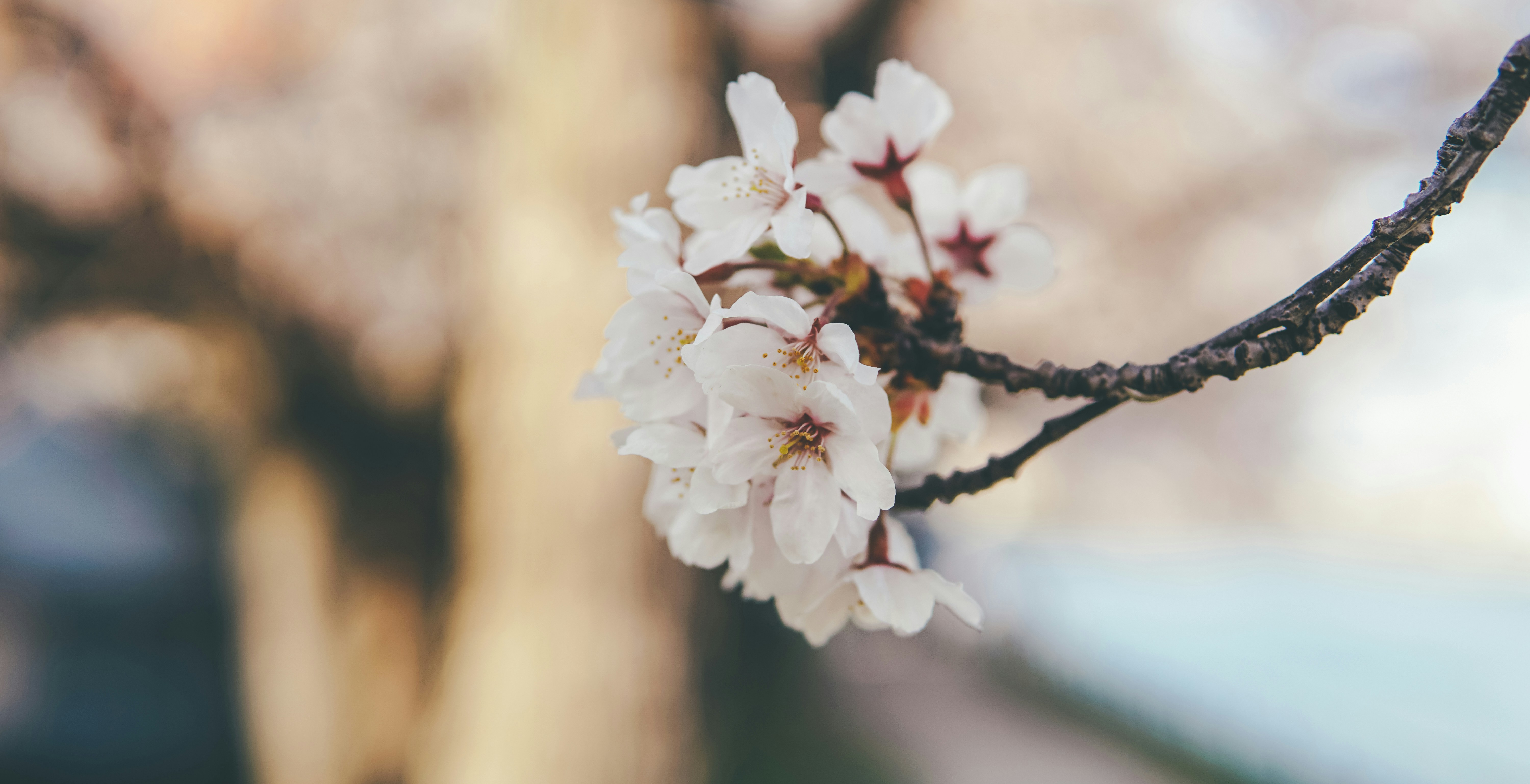 Photo by cosmonaut647