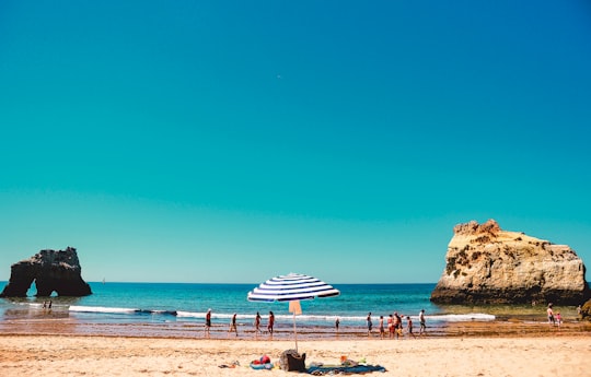 people on beach during daytime in Lagos Portugal