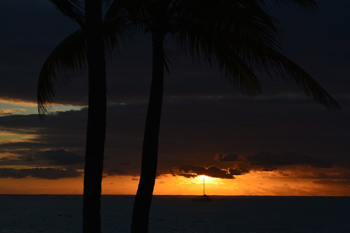 Solo Female Travel Guide to Punta Cana in May (All-Inclusive Tips)