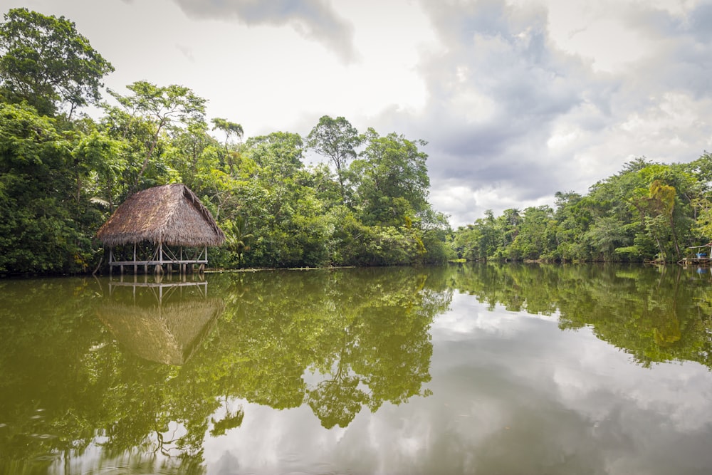 brown wooden house on lake during daytime