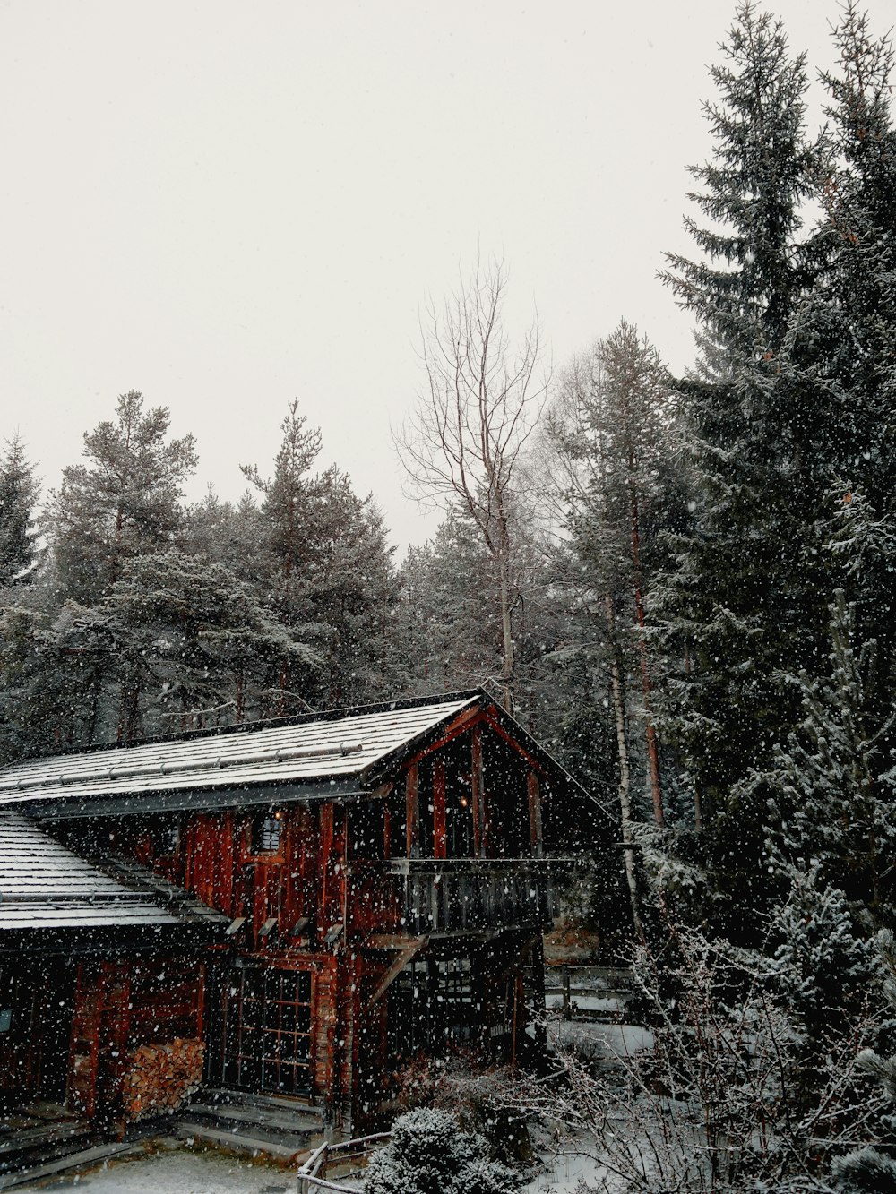 昼間は緑の木々のそばの茶色い木造住宅